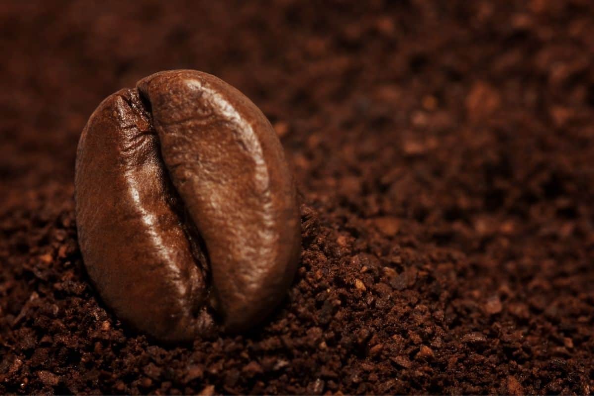 DLK Arabica Dark Roast Drip Bags