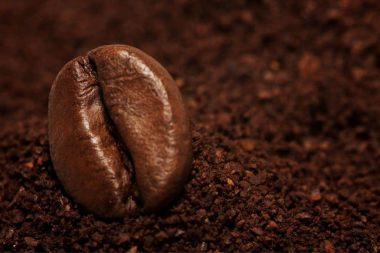 DLK Arabica Dark Roast Drip Bags